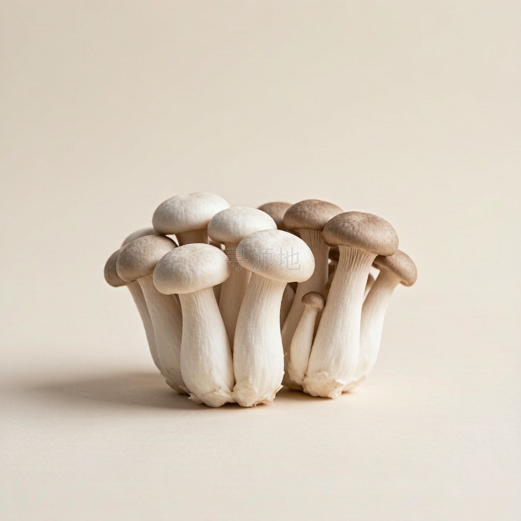 江华食用菌