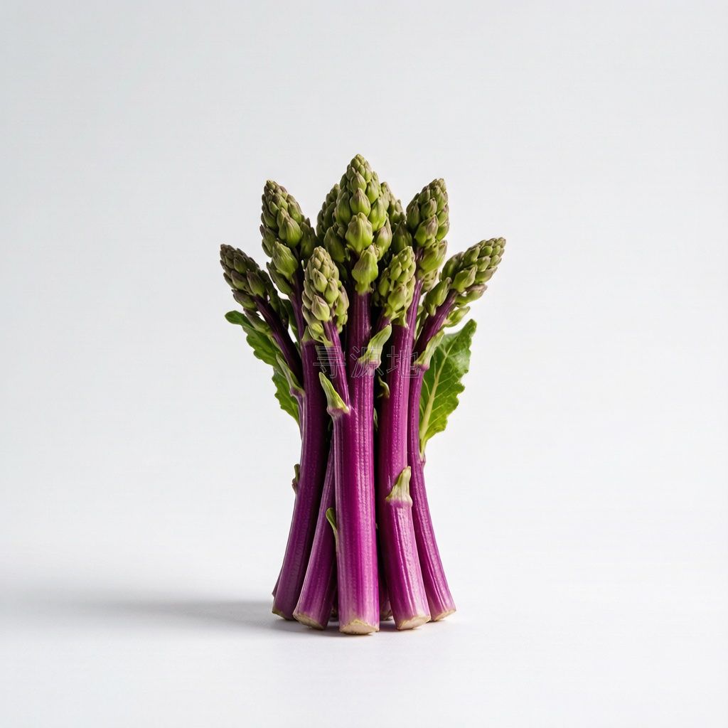 洪山菜薹